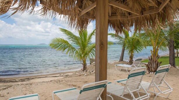 A beach with lounge chairs under a thatched roof, palm trees, and a view of the ocean. - "ISLAND DREAMS" Spectacular Views, Pool, Beach, AC, Internet, 2 BR 2 Bath (Christiansted,)