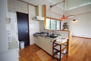 Una cocina compacta con estufa, lavamanos y un armario de madera.