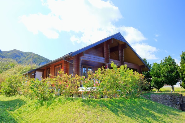 Exterior - The Subterraneans (Ishigaki)