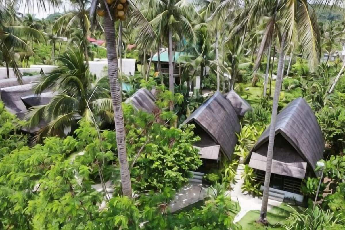 A resort with thatched-roof huts surrounded by lush greenery and palm trees.