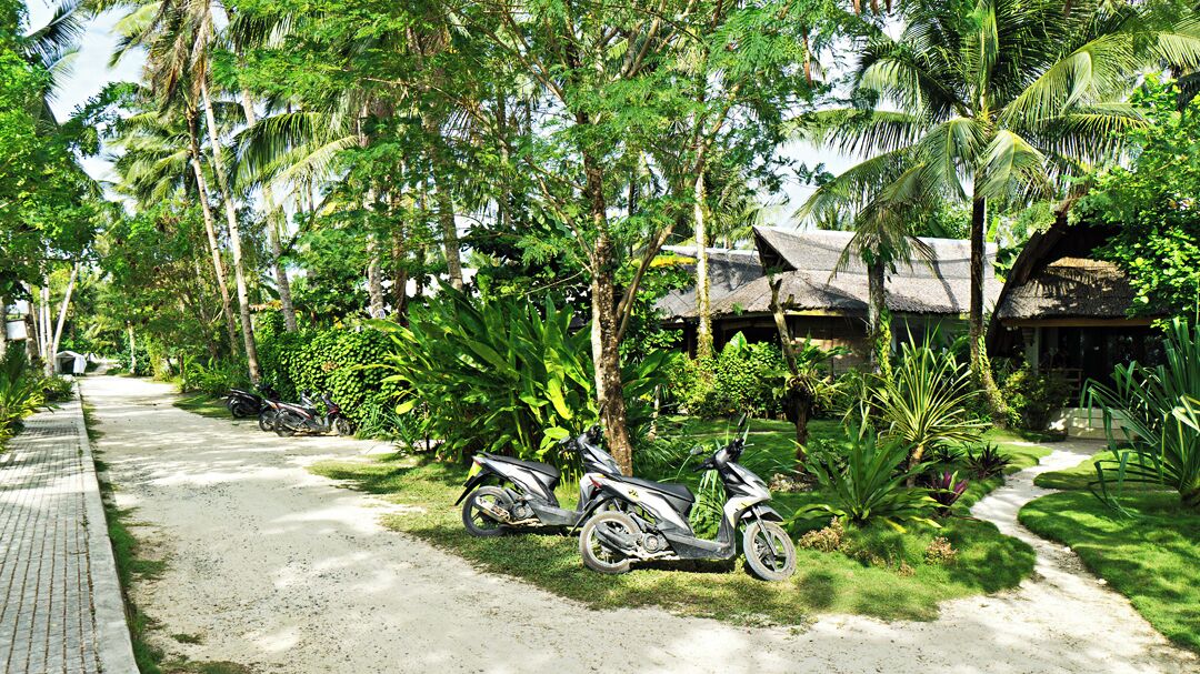 A paved pathway lined with lush greenery and a thatched-roof structure.