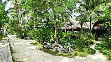 A paved pathway lined with lush greenery and a thatched-roof structure.