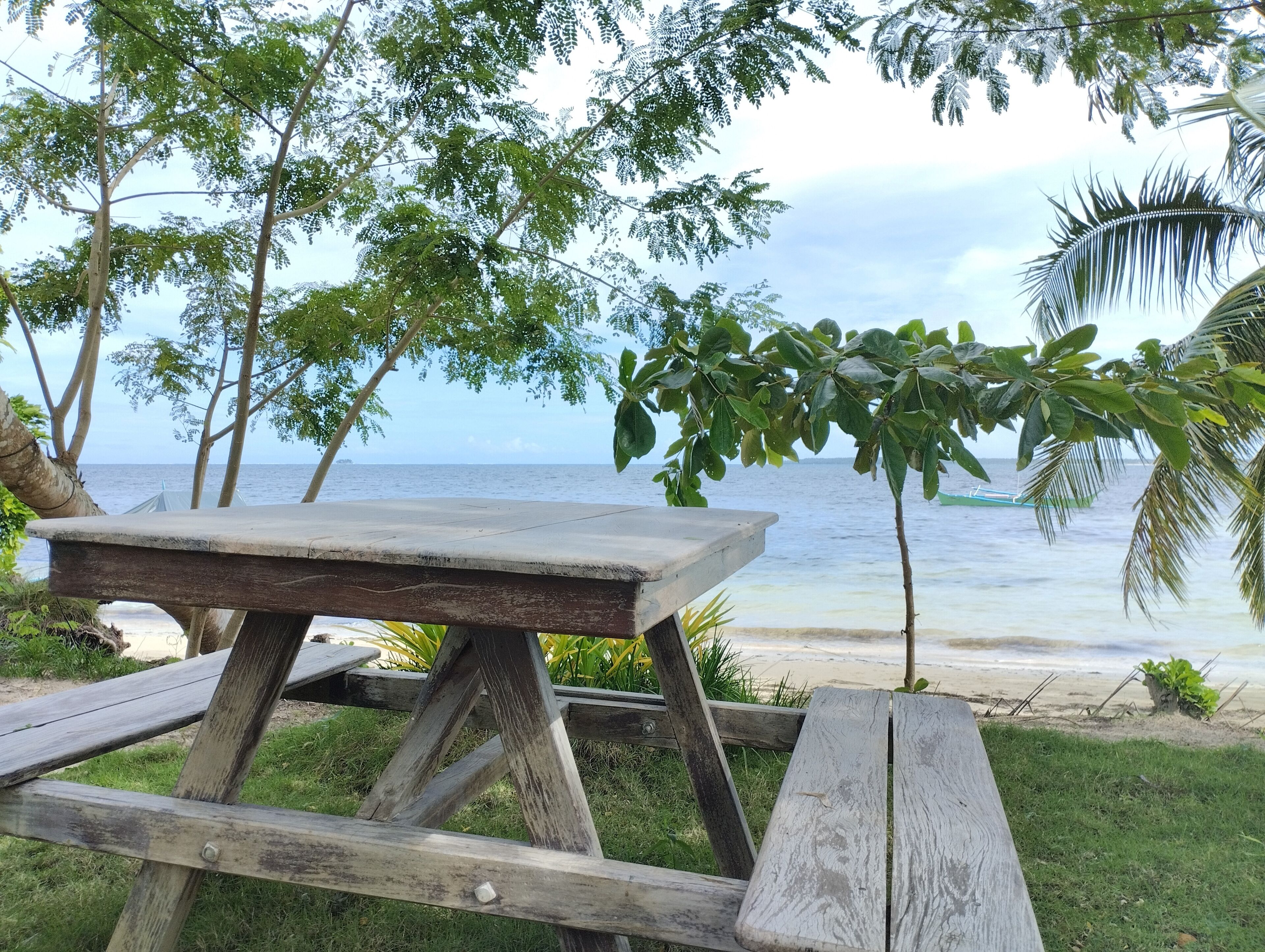 A wooden picnic table with a view of the ocean and palm trees.