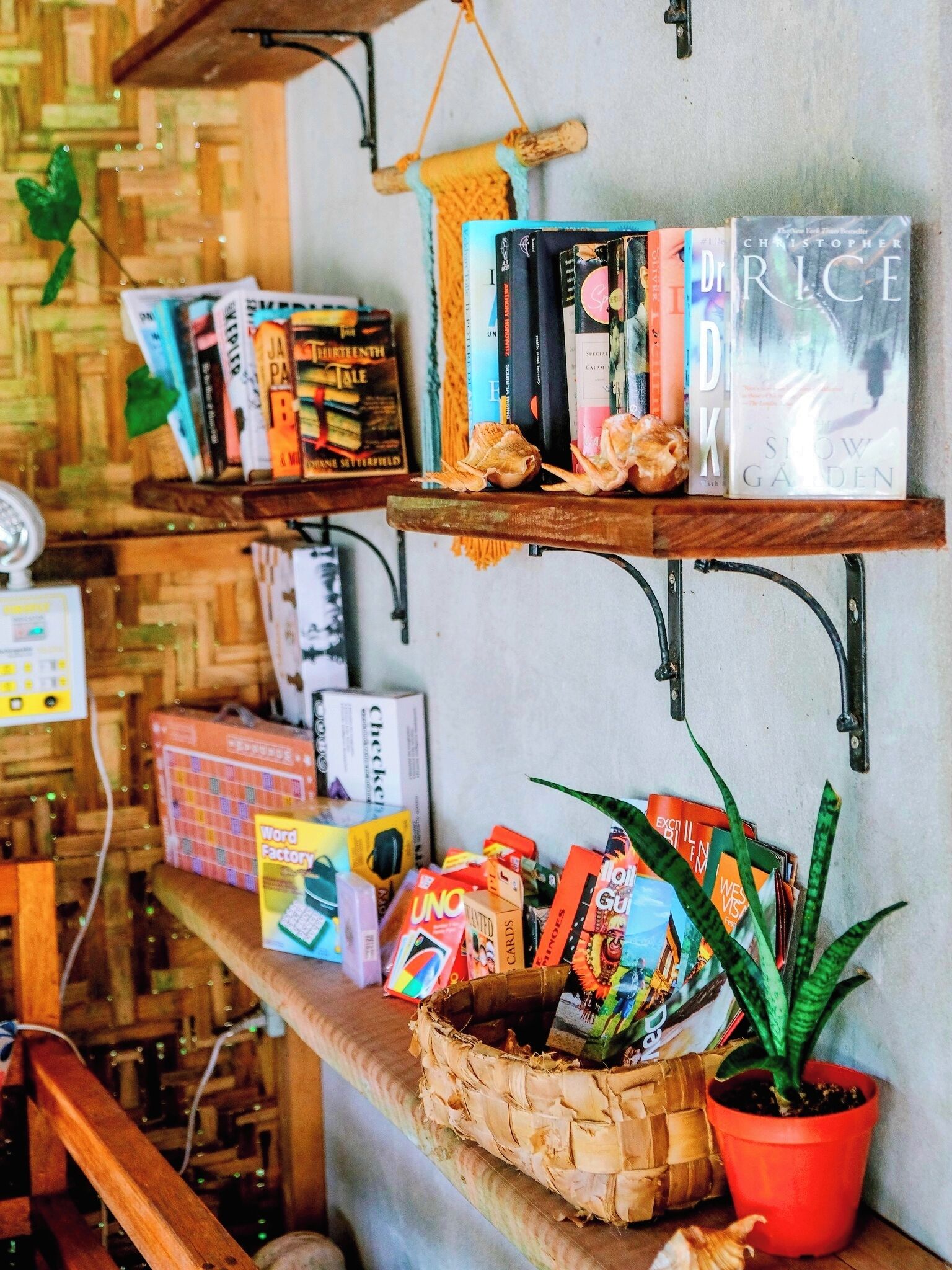 A bookshelf with books and a small potted plant.
