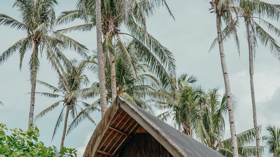 Ferra Resort Siargao