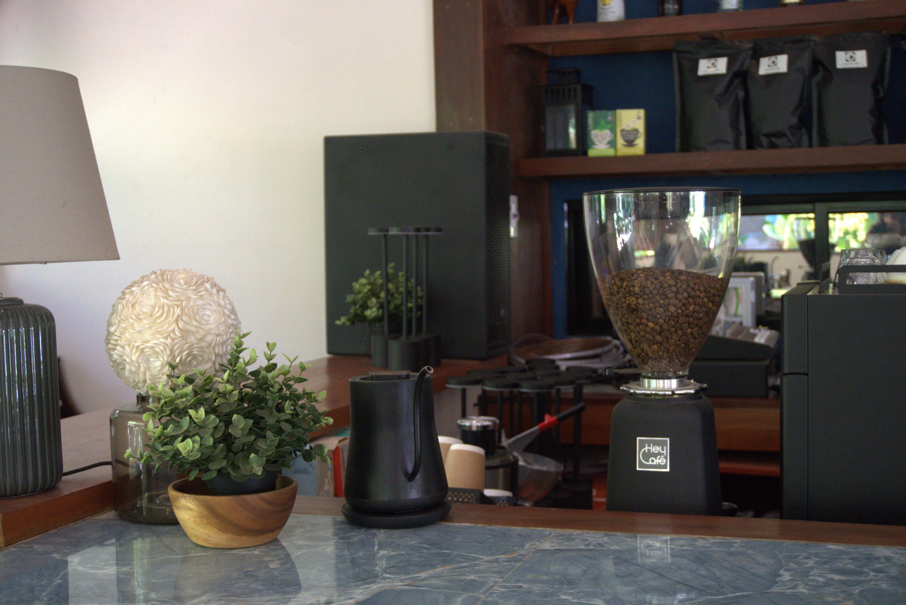 A kitchen counter with a coffee maker, a potted plant, and a decorative vase.