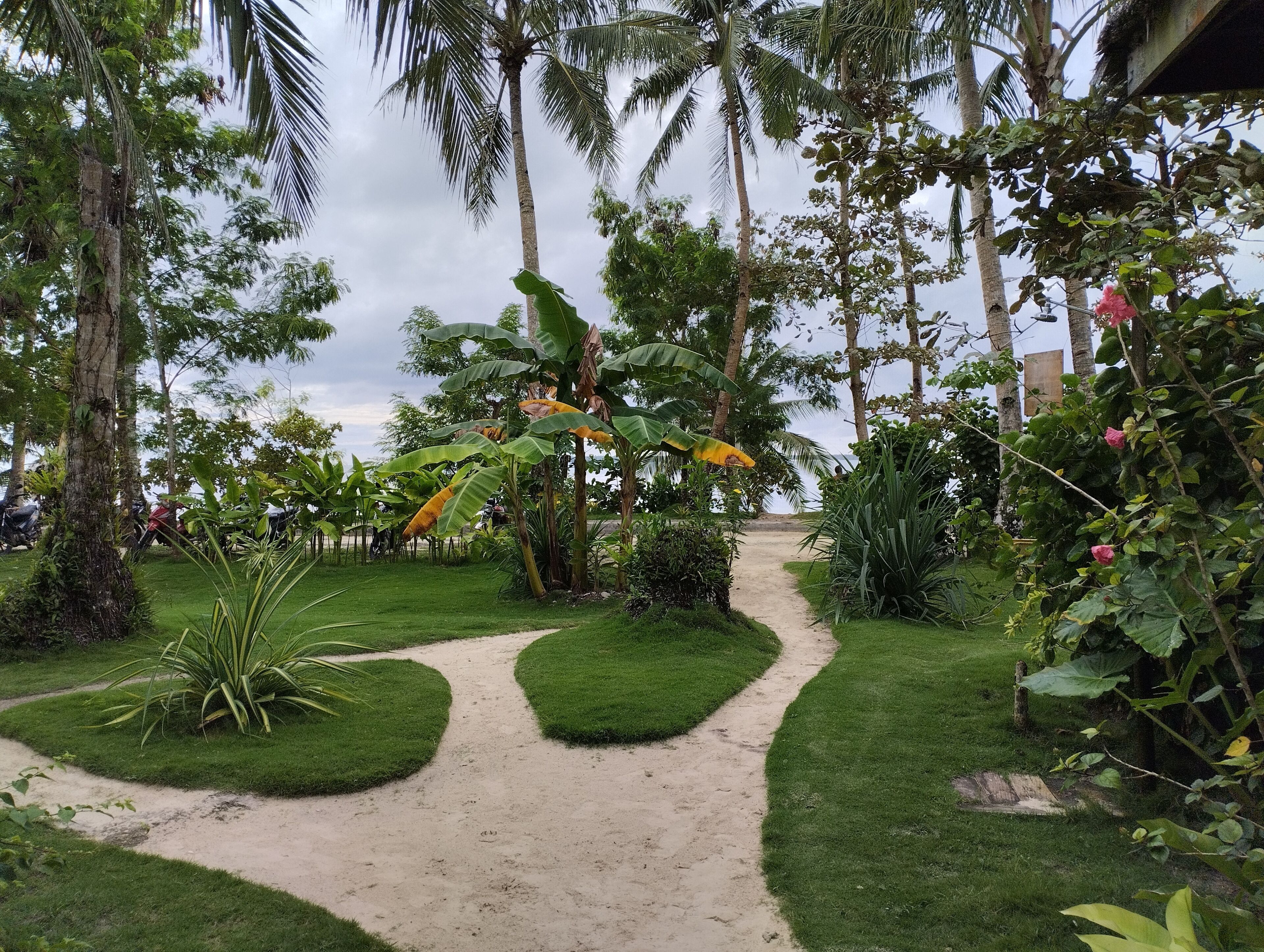 Um caminho no jardim com vegetação exuberante e palmeiras.