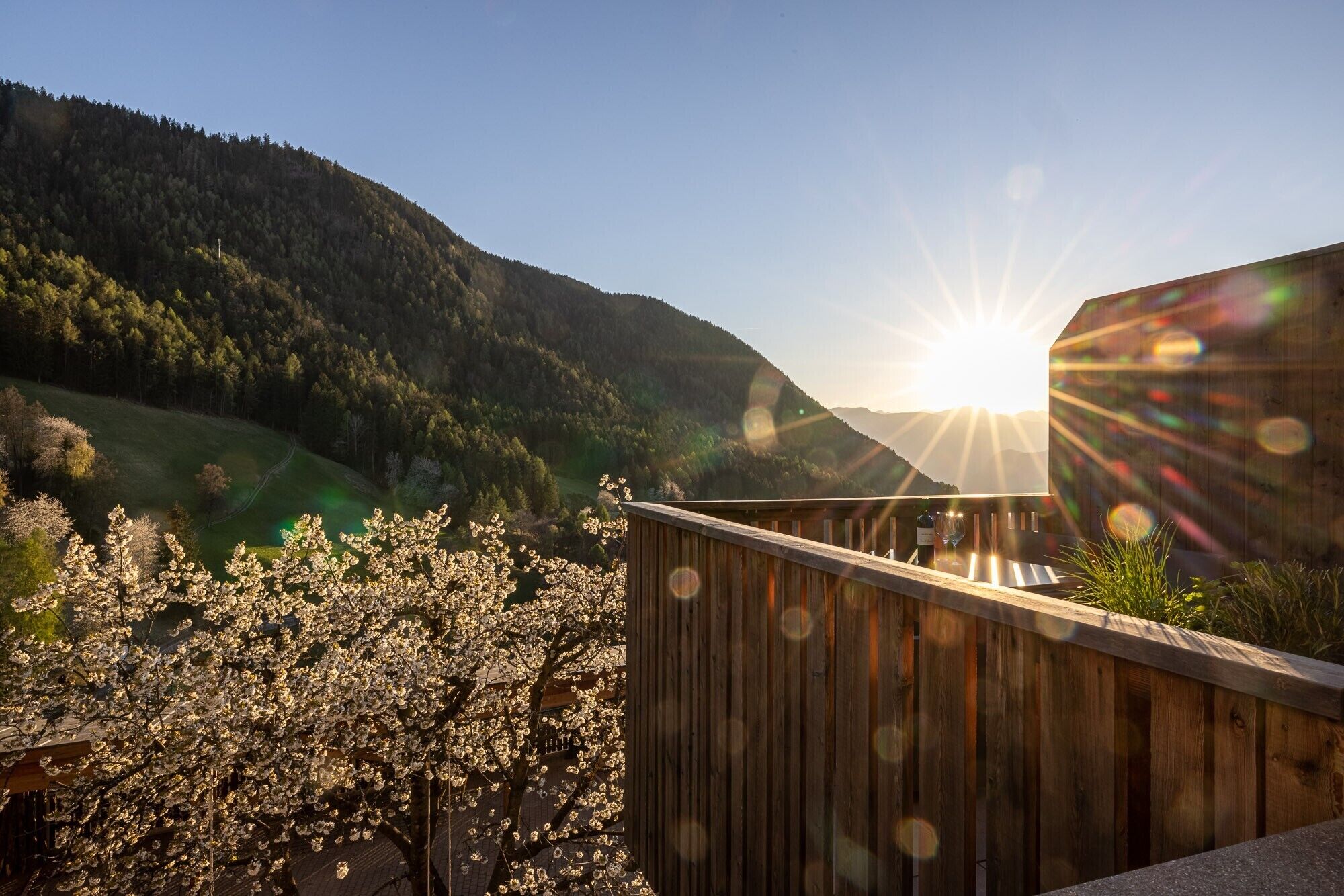 A wooden deck with a view of a forested hillside and the sun shining through.