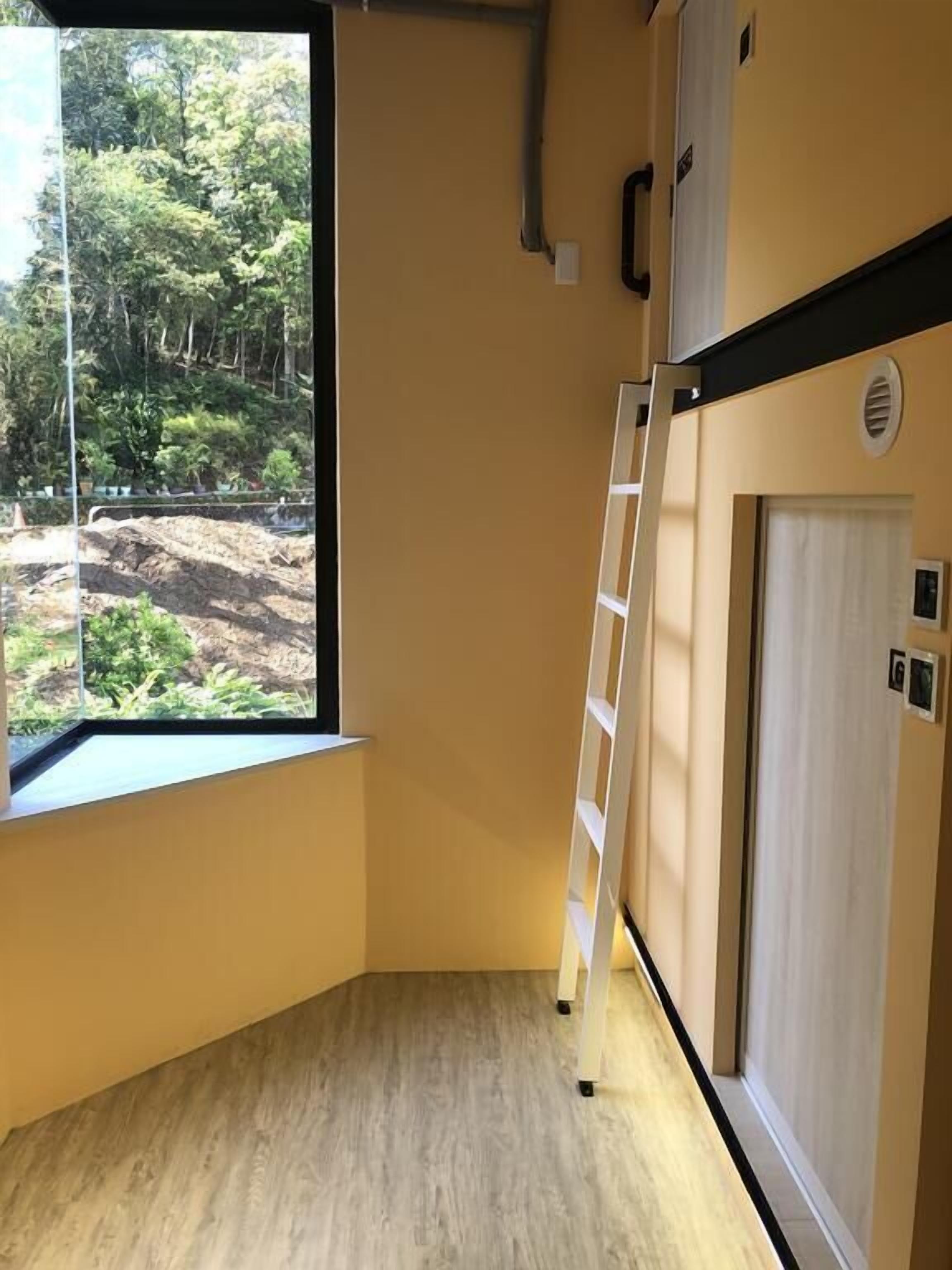 A corner room with a window offering a view of a forested area, a wooden floor, and a door with a small vent.