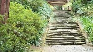 Point of interest - Purpose Resort  Ocean View Kamakura (Kamakura)