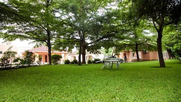 Jardín