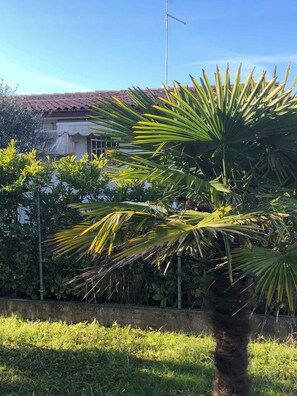 Property grounds - Holiday apartment 150 m to the sea and with air conditioning (Porto Santa Margherita)