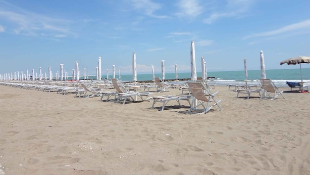 Une plage bordée de rangées de chaises longues et de parasols, un ciel dégagé et l’océan en toile de fond.