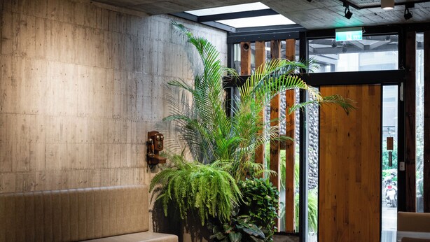 A modern interior with a concrete wall, wooden accents, and a large potted plant. - YZ Spa house (Jiaoxi)