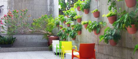 Un patio con piso de concreto, un muro bajo y varias plantas en macetas. Hay tres sillas de distintos colores.
