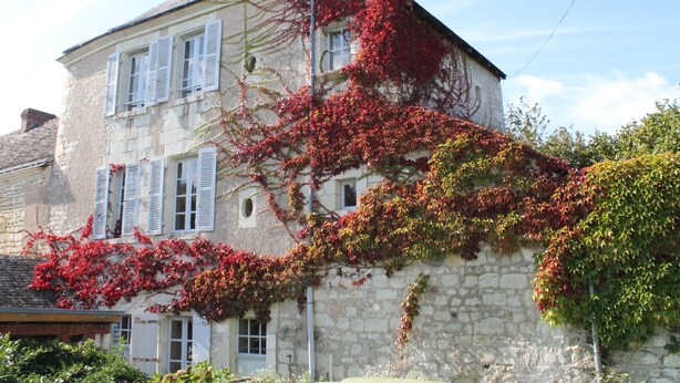 A stone building with white shutters and red ivy. - Quiet cottage with garden and WIFI in La Roche-Posay (La Roche-Posay)