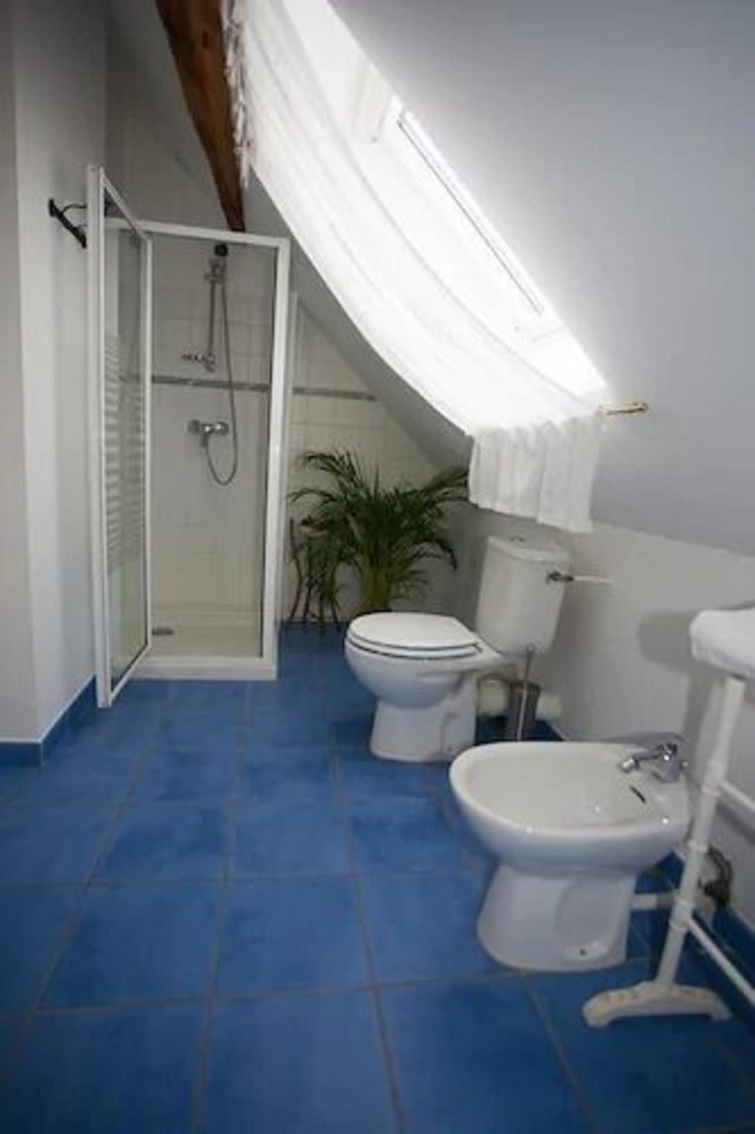 Une salle de bain équipée d  ’une douche, de toilettes, d’un bidet et d’une plante en pot.