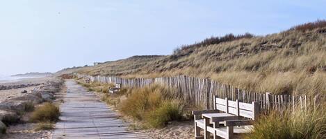 Playa en los alrededores