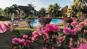 Un complexe hôtelier doté d’une piscine, de palmiers et de magnifiques fleurs de bougainvillier roses.