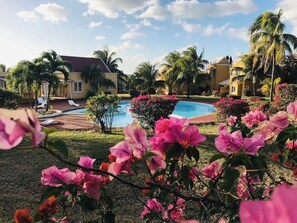 Outdoor pool - Villa Sécurisée dans un jardin calme avec piscine (Albion)