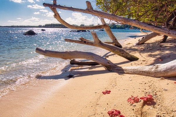 Plage à proximité, serviettes de plage