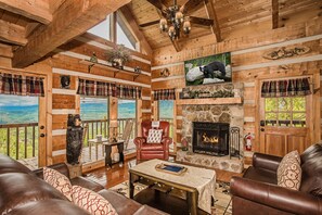 Flat-screen TV, fireplace, video games, DVD player