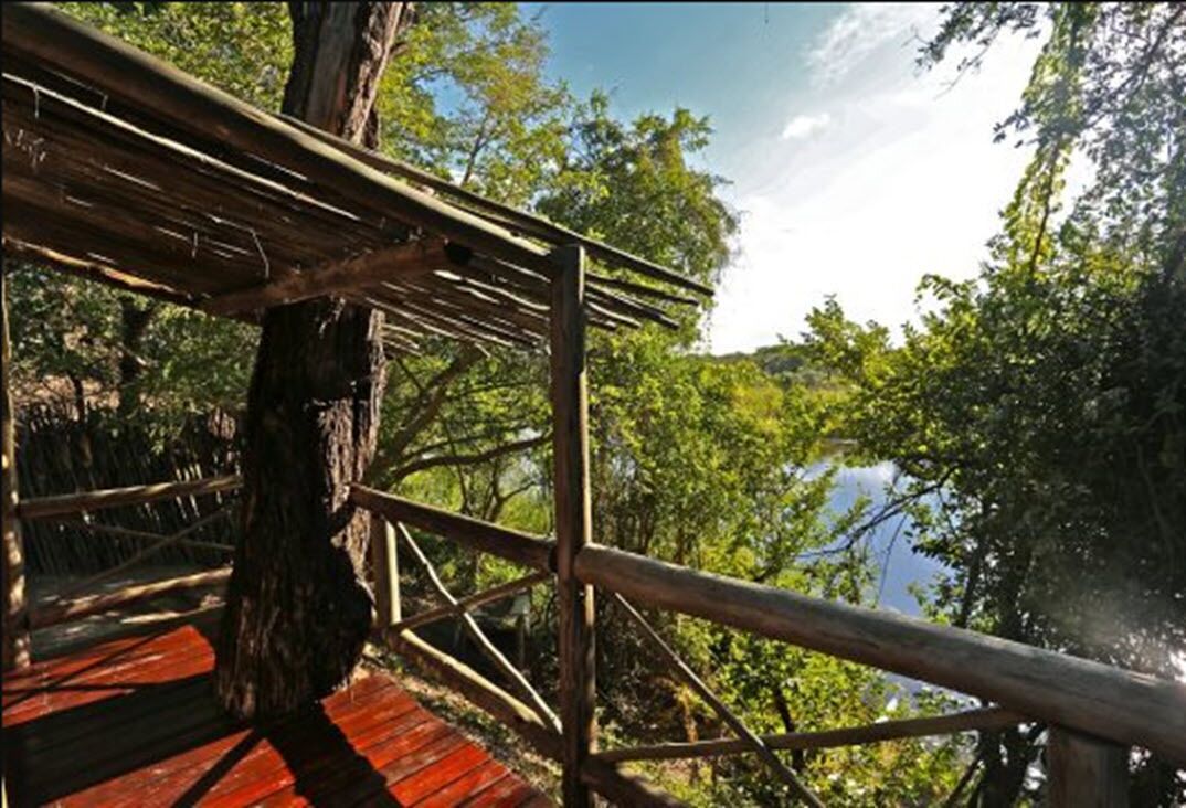 Un puente de madera con barandilla de metal, rodeado de exuberante follaje y árboles.