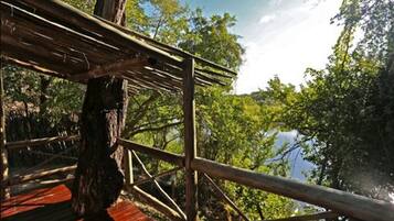 Un puente de madera con barandilla de metal, rodeado de exuberante follaje y árboles.