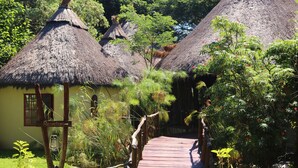 A pathway leading to thatched-roof huts surrounded by lush greenery. - Camp Kwando (Kongola)