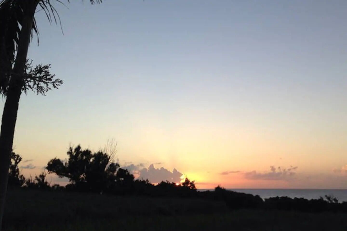 A sunset over a coastal landscape with silhouettes of trees and a clear sky.