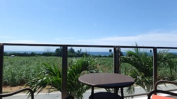 Apartment | Blick vom Balkon
