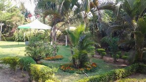 A garden with various plants and a white tent. - Muuka Gaderns lodge (Ndola)