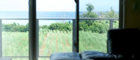 Condo | View from room