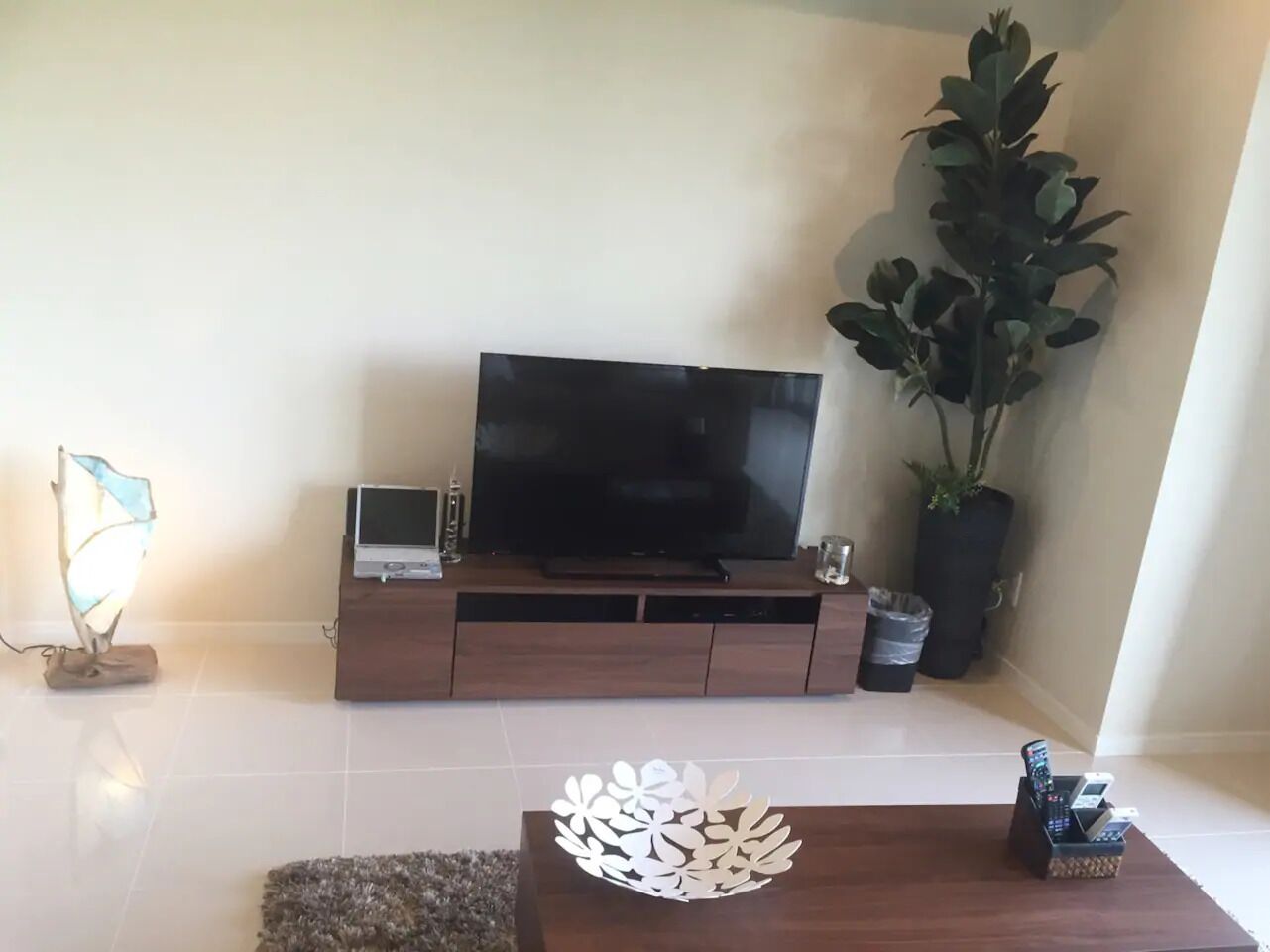 Uma sala de estar com televisão de tela plana em um suporte de madeira, uma planta em vaso e uma tigela decorativa em uma mesa de centro.