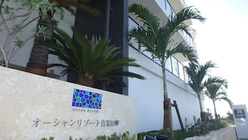 外部細節