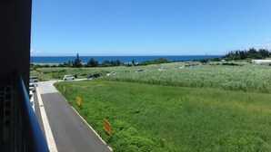 Une route côtière bordée de voitures garées et d’un champ d’herbe.