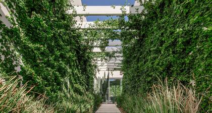 The Donatella - Arcadia - Creme de la Creme