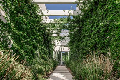 The Donatella - Arcadia - Creme de la Creme