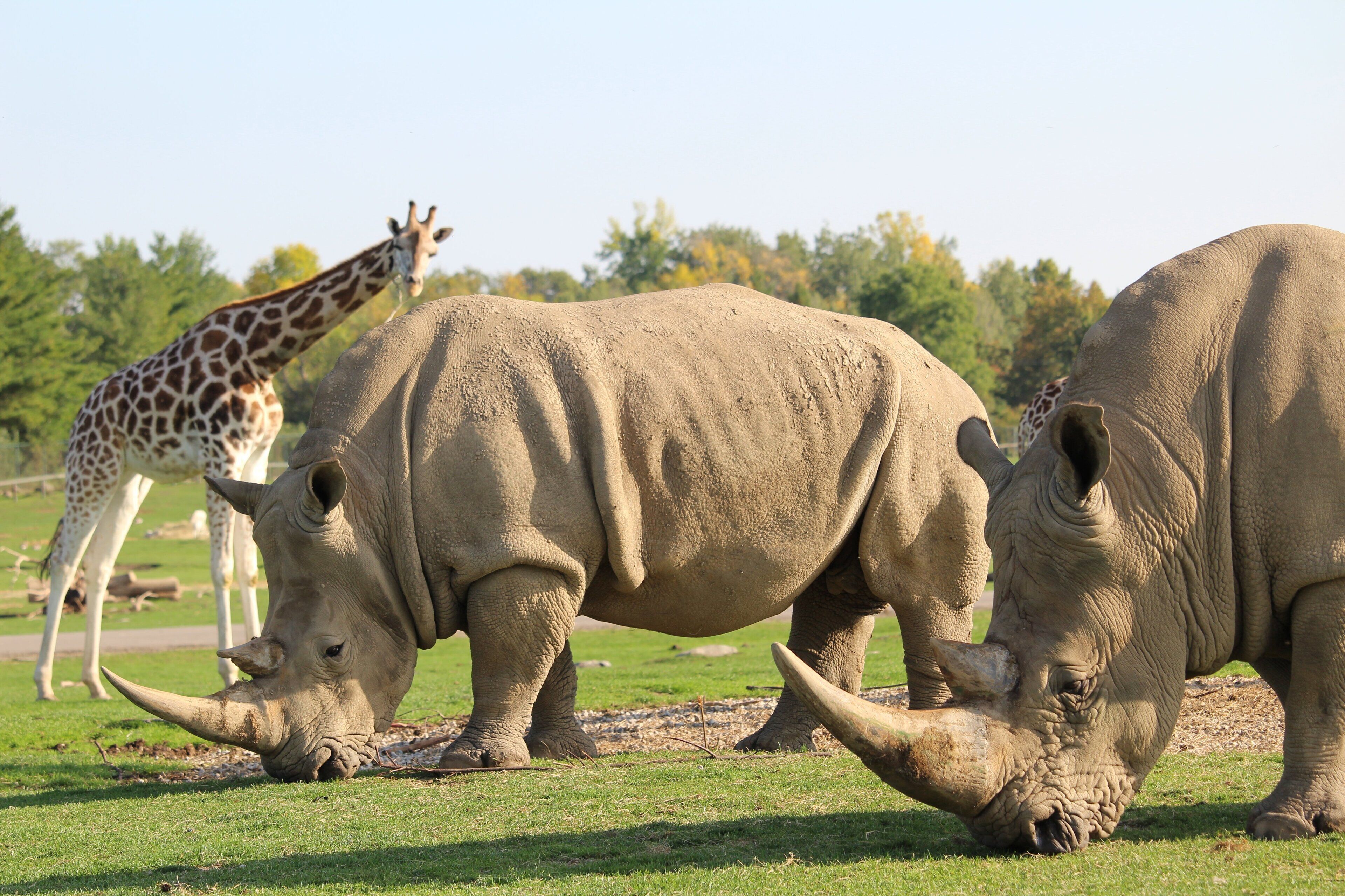 Photo - TownePlace Suites by Marriott Hamilton