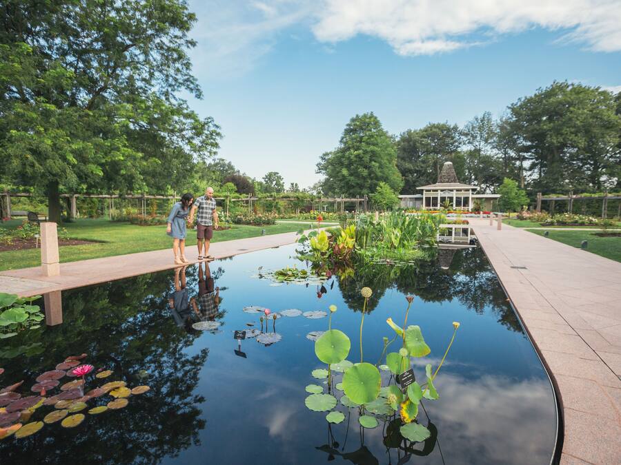 A serene pond with lily pads and a gazebo in the background.
