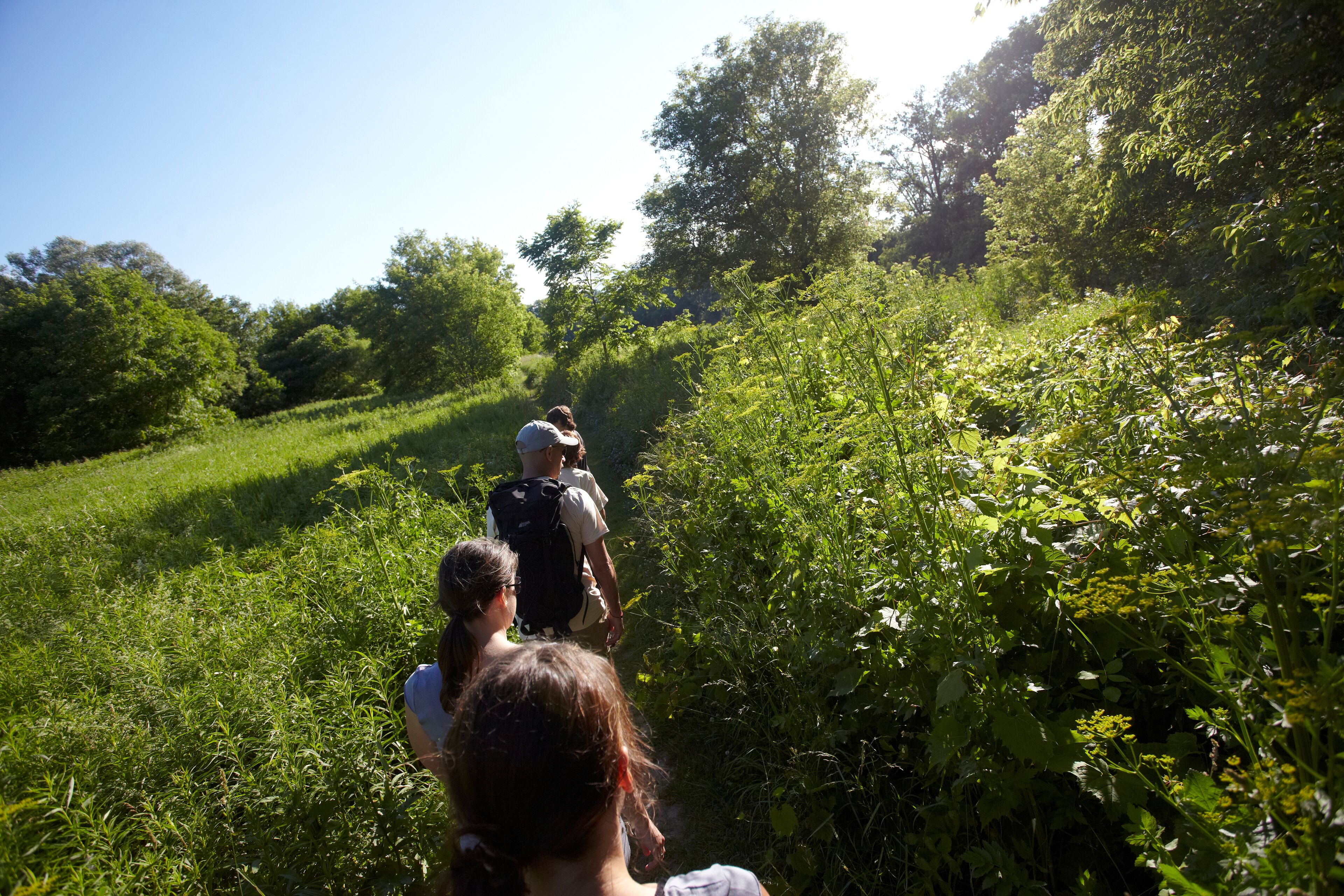 A group of people walking through a lush, green landscape with dense vegetation and trees.