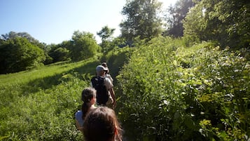 A group of people walking through a lush, green landscape with dense vegetation and trees.