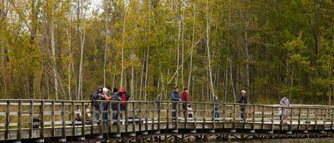 A wooden bridge over a body of water with people standing on it.