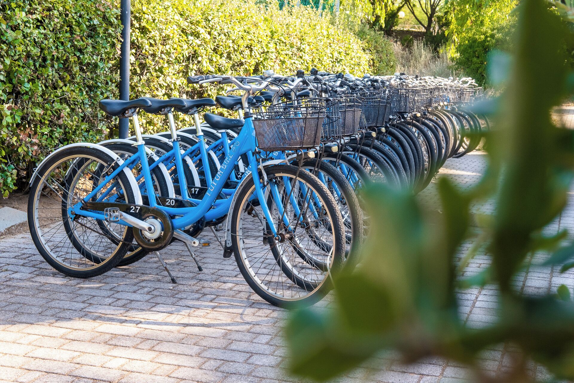 Una fila de bicicletas azules con cestas unidas, estacionadas sobre una superficie pavimentada.