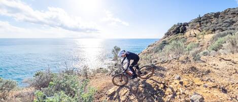 A mountain biker on a rocky trail with a view of the sea and clear sky.