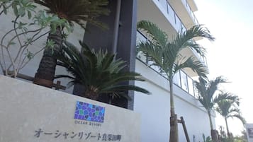 外部細節