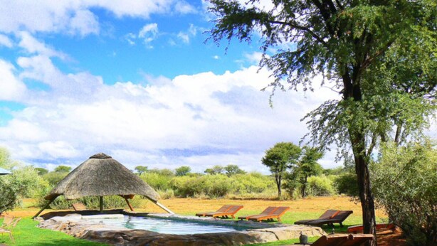 A pool area with lounge chairs, a thatched-roof structure, and a natural setting with trees and grass. - West Nest Lodge (Witvlei)