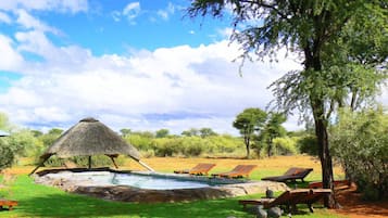 Una piscina al aire libre, sillones reclinables de piscina