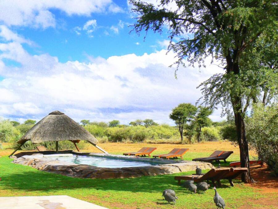 حمّام سباحة خارجي، مقاعد للتشمس