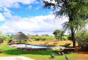 Uma área de piscina com espreguiçadeiras, uma estrutura com telhado de palha e paisagem natural com árvores e grama.